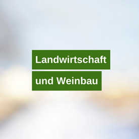 Landwirtschaft und Weinbau