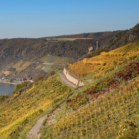 Mauersanierung und stationäre Transporteinrichtungen