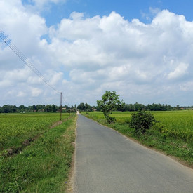 Landwirtschaftlicher Wegebau